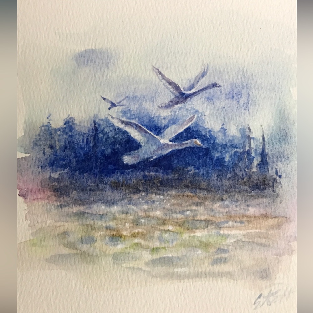 Original Swan Painting Watercolor Art Bird Landscape Small Artwork cottage core - Picture 6 of 8